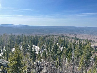 Уральское управление Росприроднадзора ведет проверку Висимского заповедника